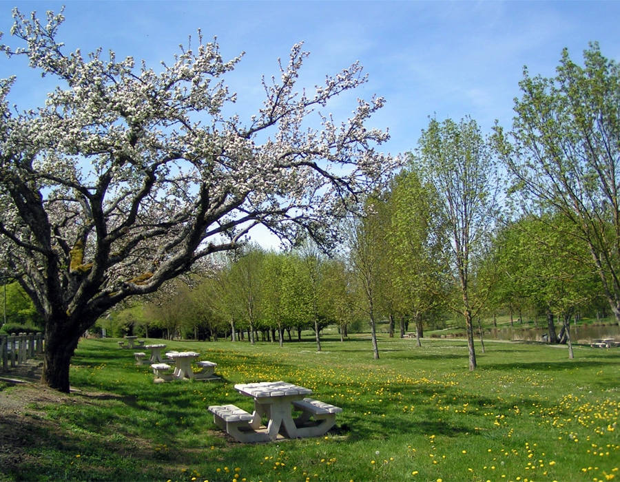 camping-le-moulin-des-effres-air-de-pique-nique-bord-du-lac