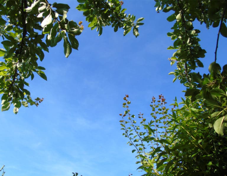 camping-le-moulin-des-effres-visite-nature-des-deux-sevres