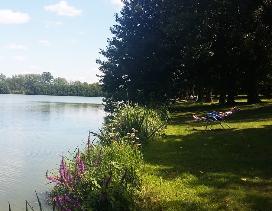 detente-au-bord-du-lac-des-effres-camping-secondigny