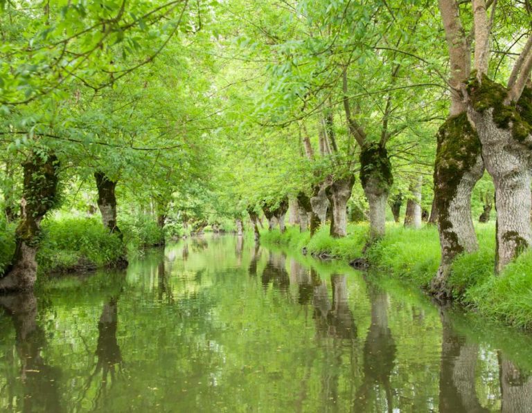 camping-avec-piscine-deux-sevres-proche-marais-poitevin