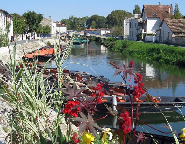 camping-le-moulin-des-effres-proche-marais-poitevin