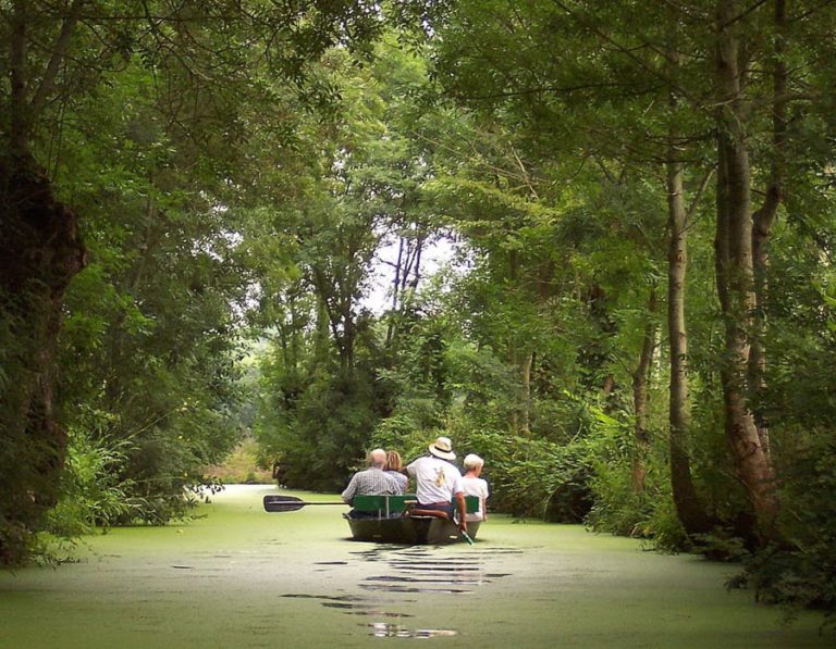 camping-proche-marais-poitevin-deux-sevres-le-moulin-des-effres