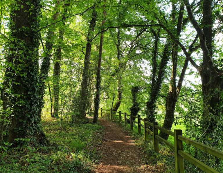 sentiers-decouvertes-camping-le-moulin-des-effres-deux-sevres