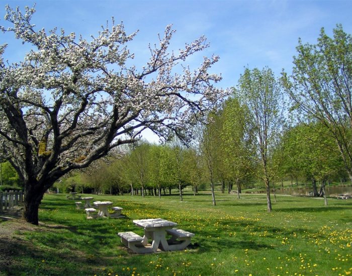 camping-le-moulin-des-effres-air-de-pique-nique-bord-du-lac