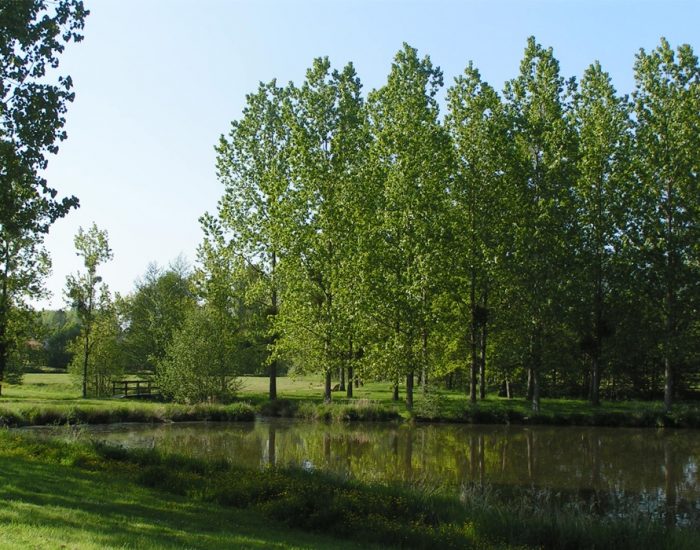 camping-le-moulin-des-effres-ballade-petit-pont-sur-lac-des-effres