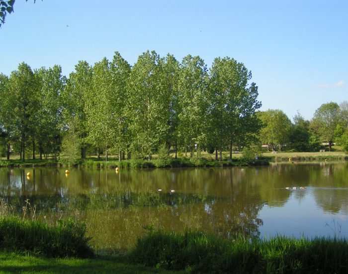 camping-le-moulin-des-effres-nature-arbre-verdure