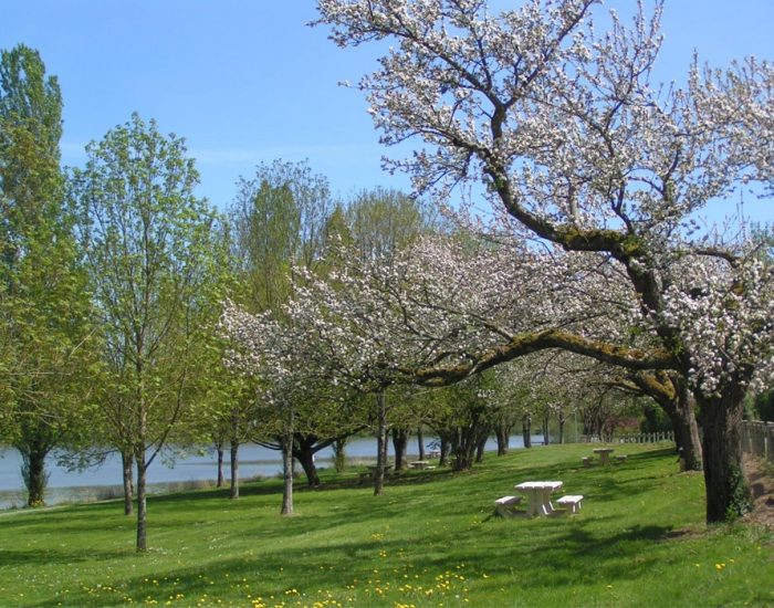 camping-le-moulin-des-effres-verdure-arbre-fleuri-pique-nique
